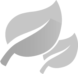 Two leaves – symbolize fuel savings and environmental friendliness.